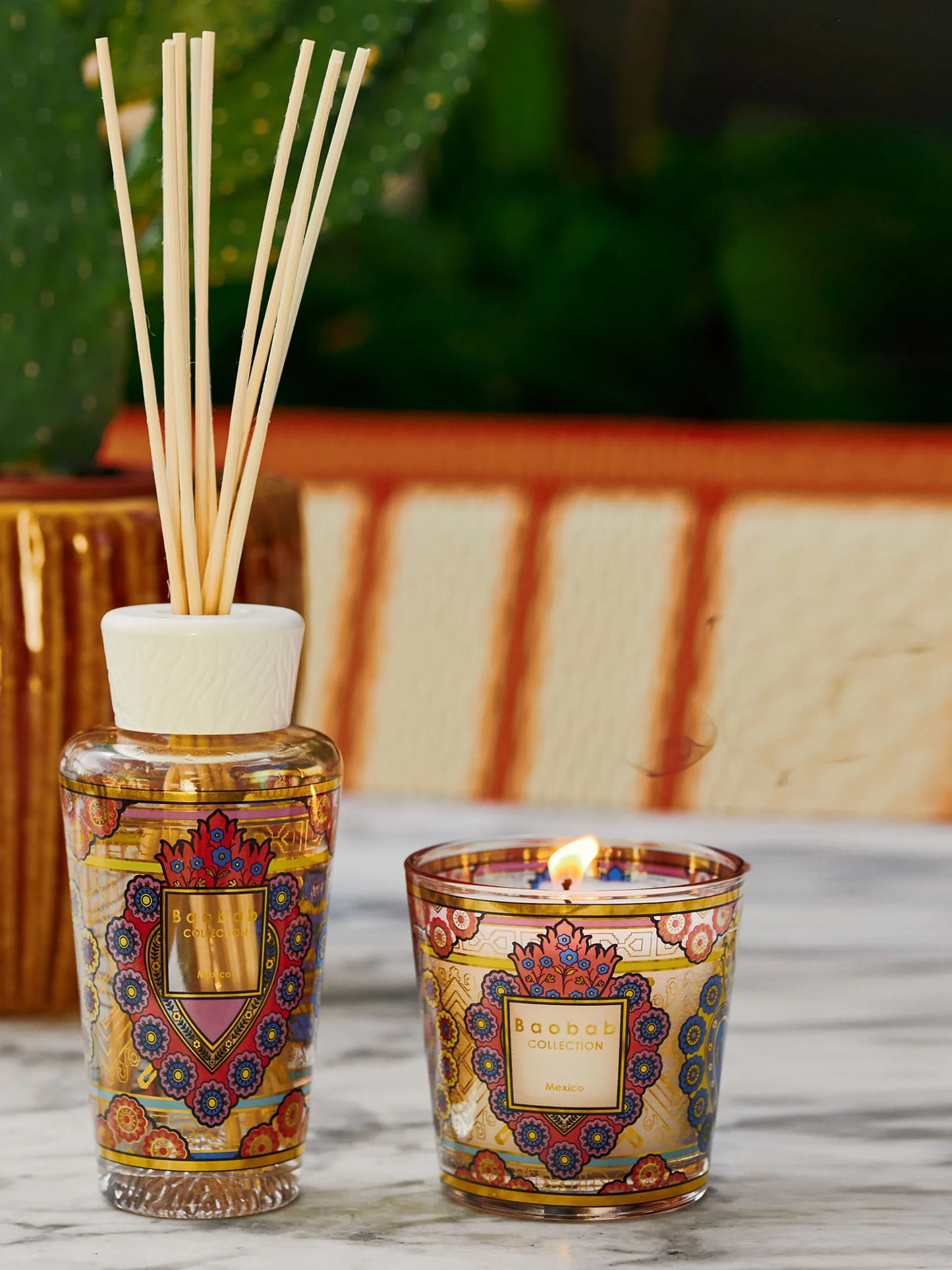 My First Baobab Mexico' gift box Baobab Collection