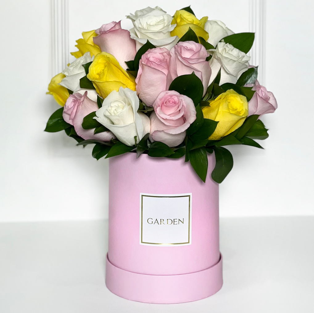 BOX CLASSIC DOROTHY LIGHT PINK