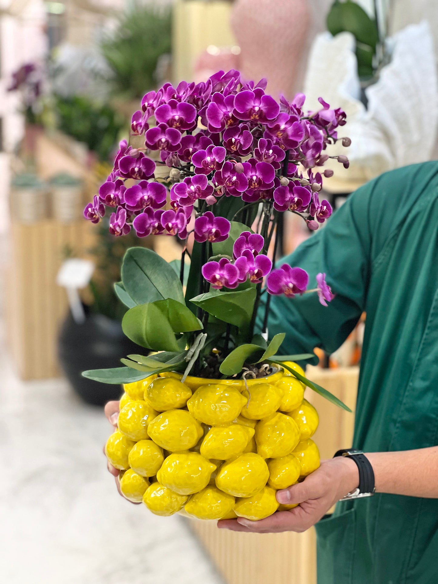 VASO FRUTTI LIMONI COM ORQUÍDEA 6 PÉS