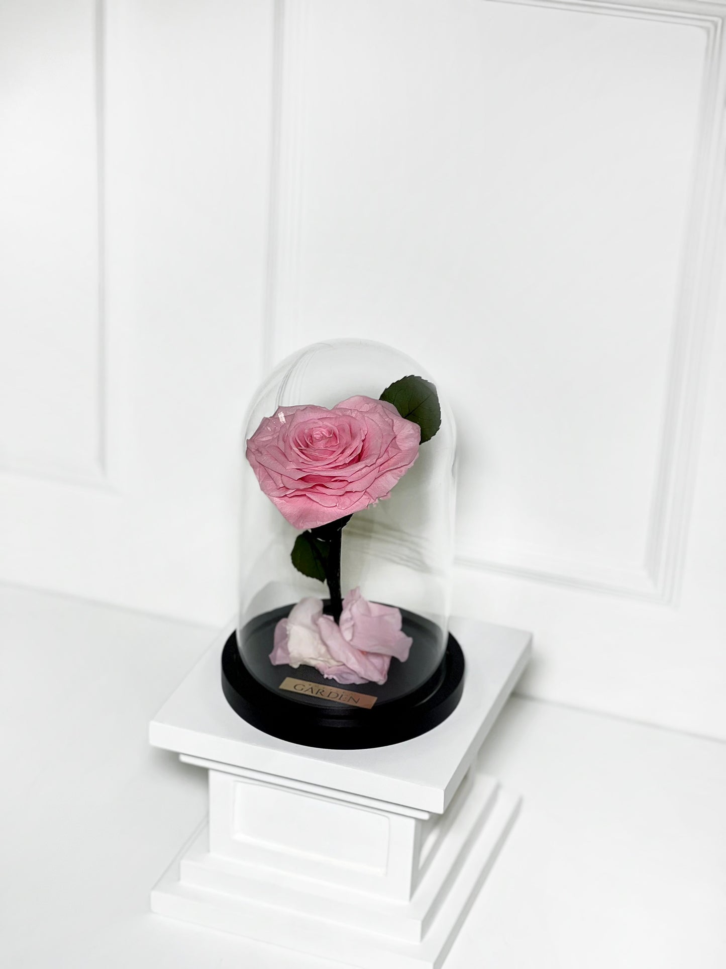 ROSA PRESERVADA PINK HEART