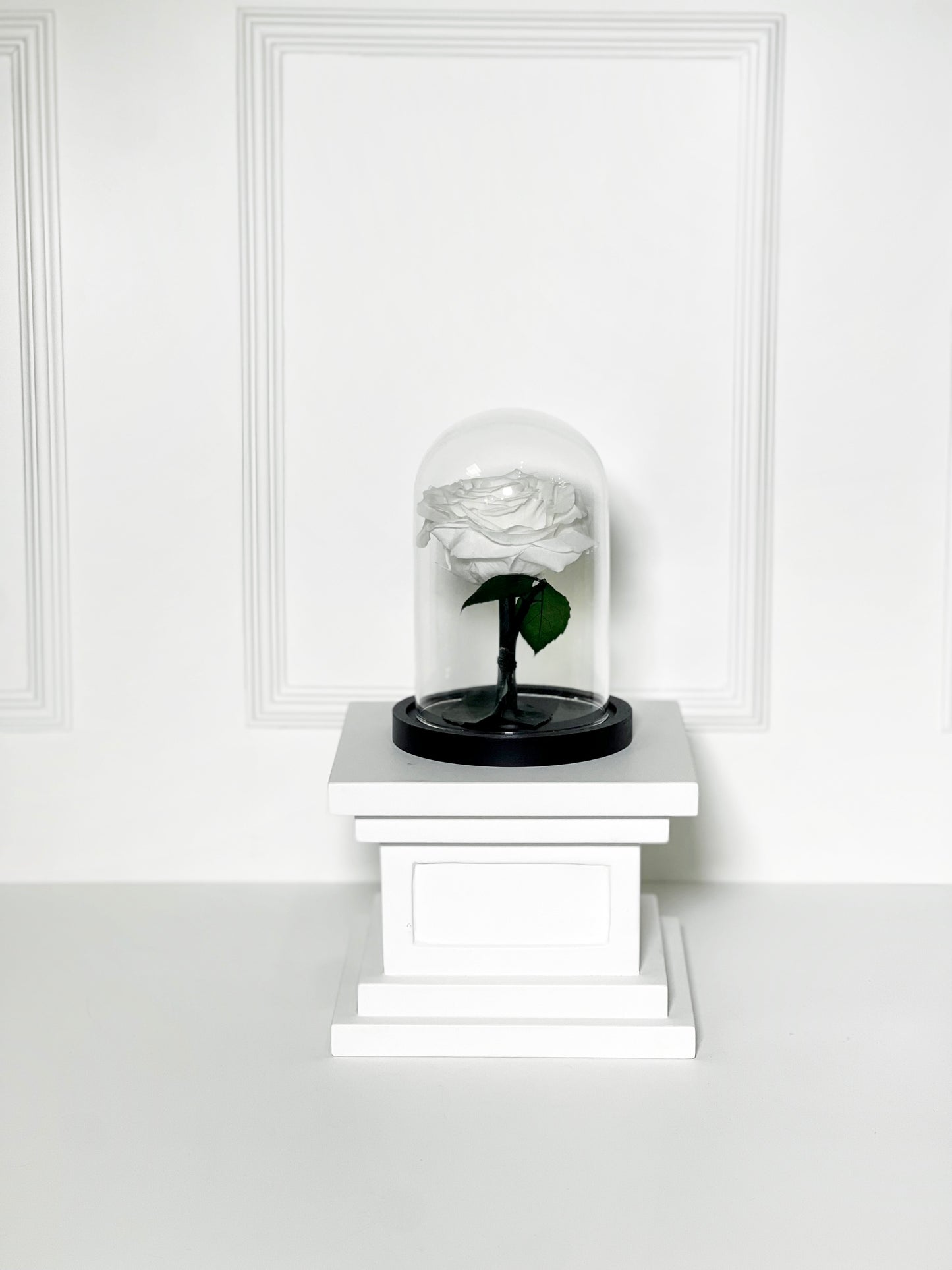 ROSA PRESERVADA WHITE COM CÚPULA TAMANHO P