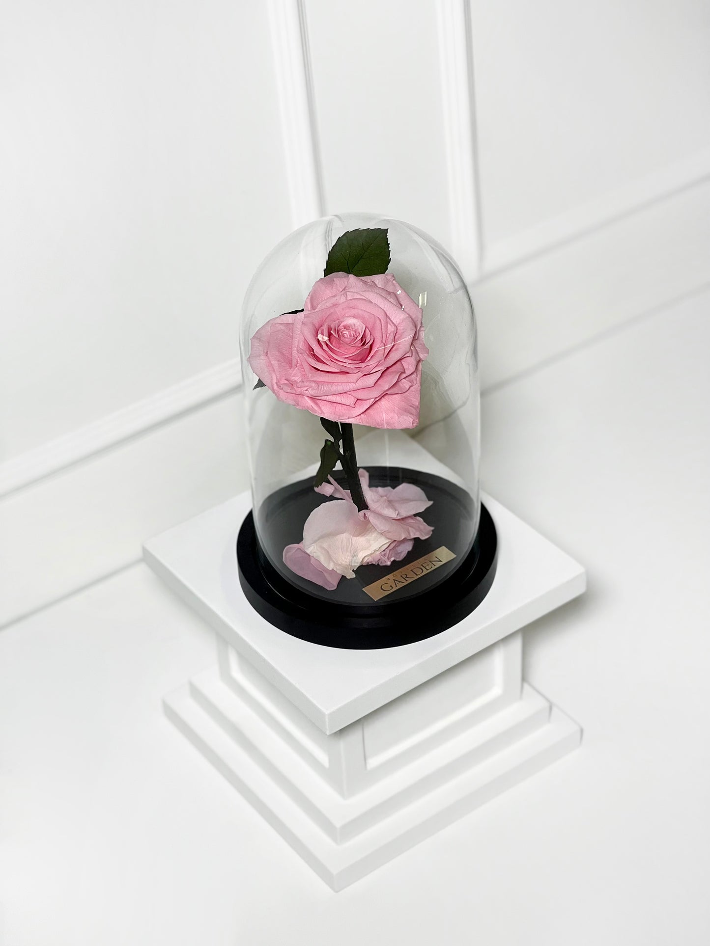 ROSA PRESERVADA PINK HEART