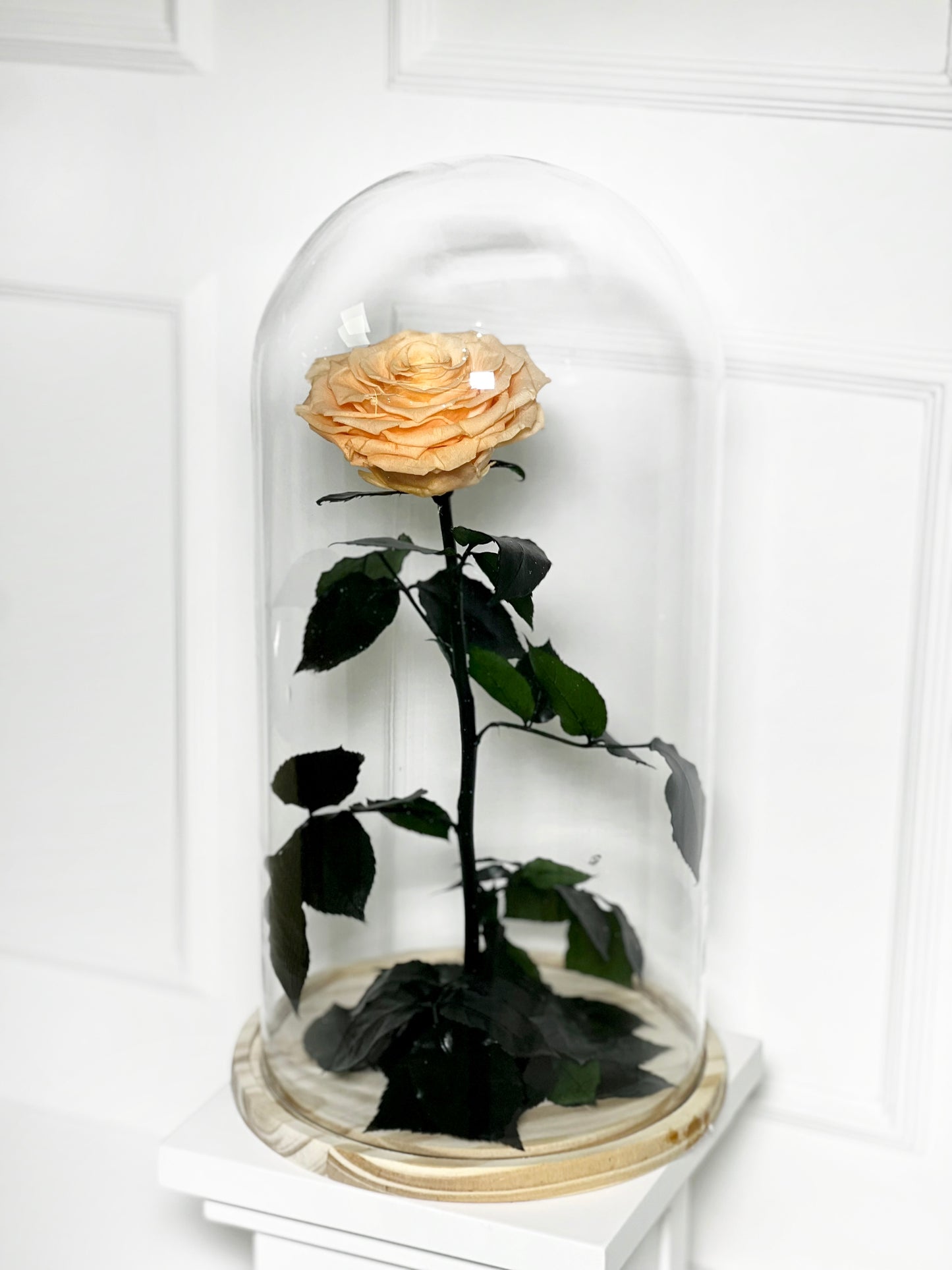 ROSA PRESERVADA SALMON TAMANHO L