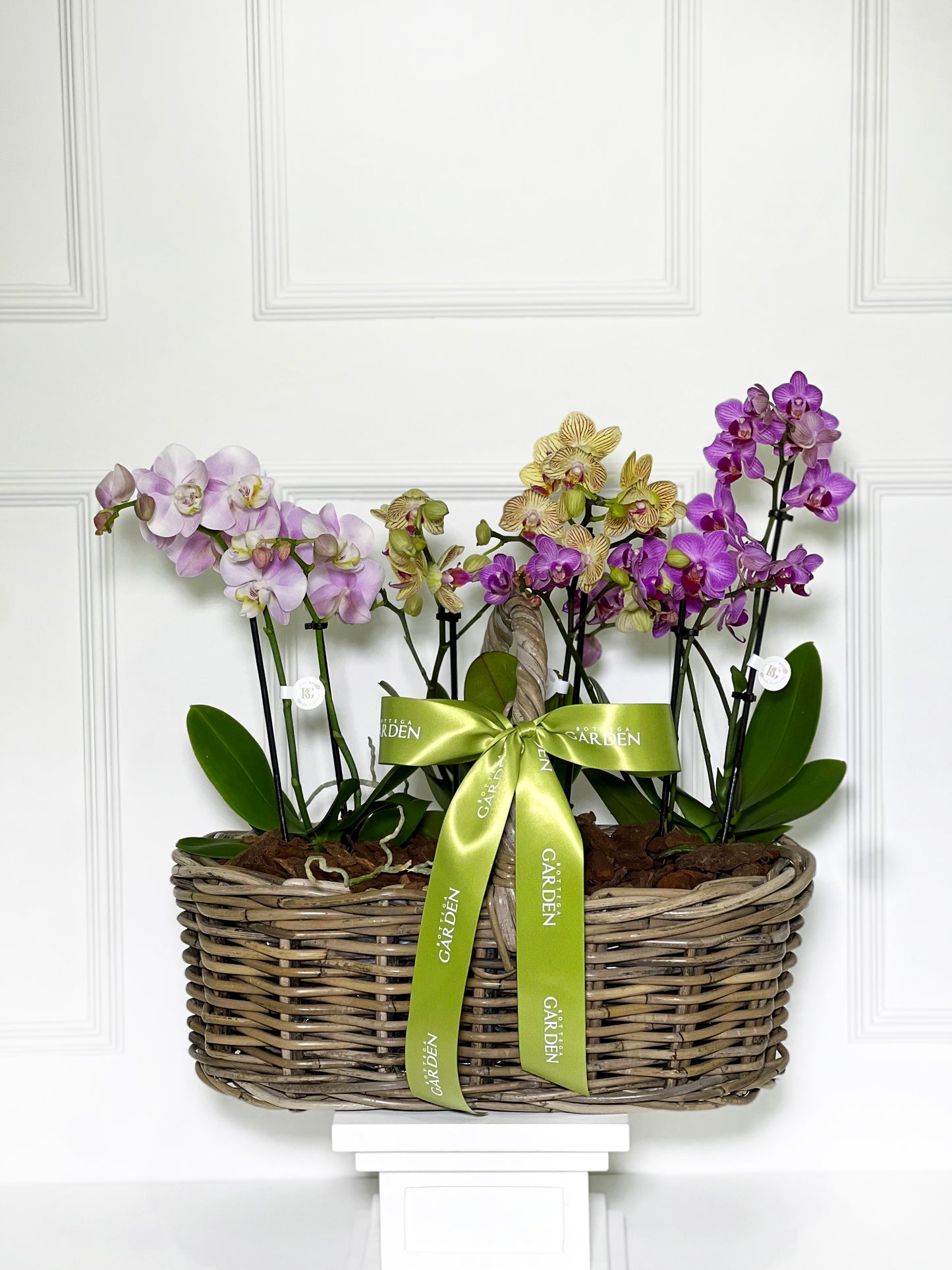 CESTA RATTAN COM MINI ORQUÍDEAS COLORIDAS