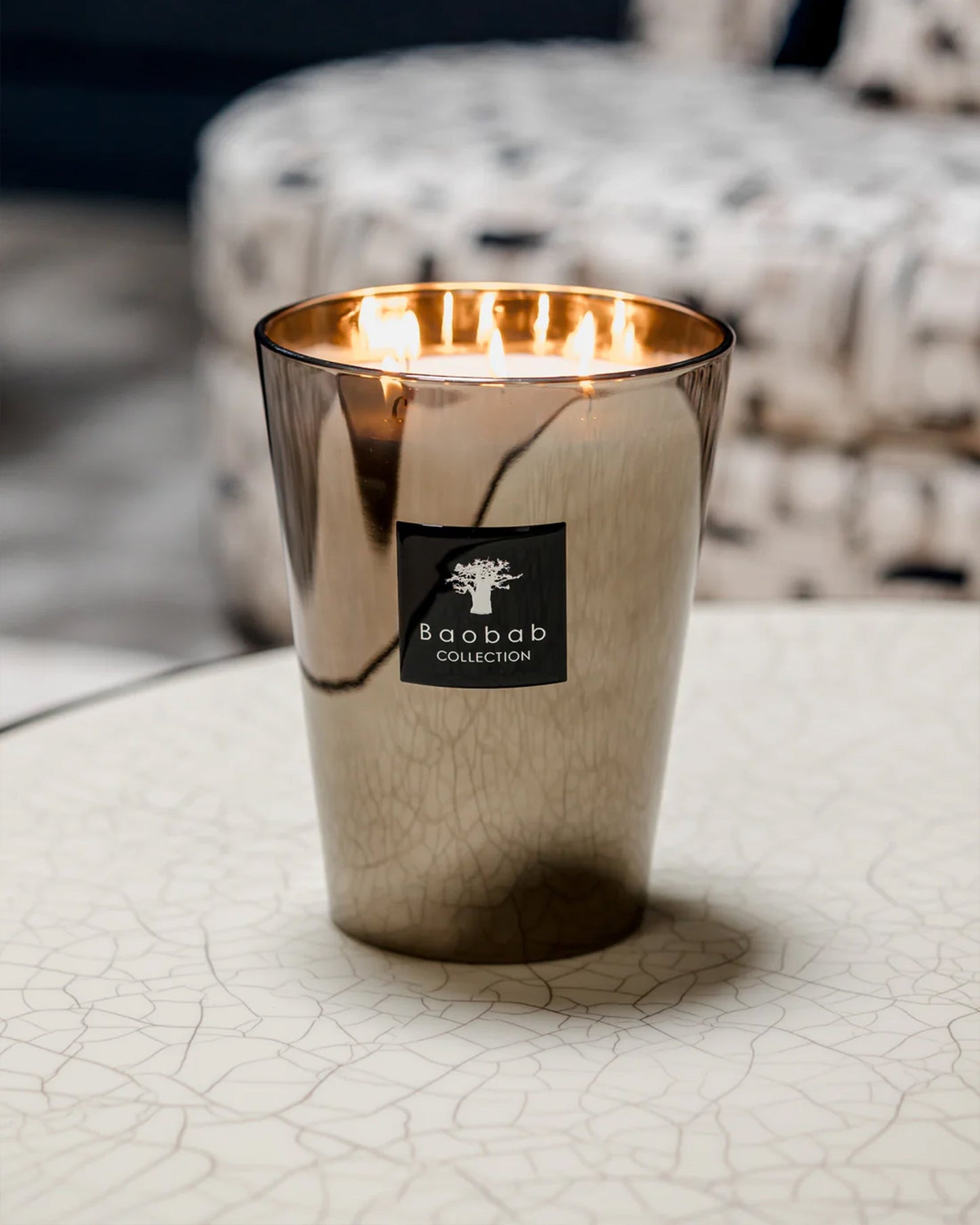 Baobab Colletion Exclusives Platinum