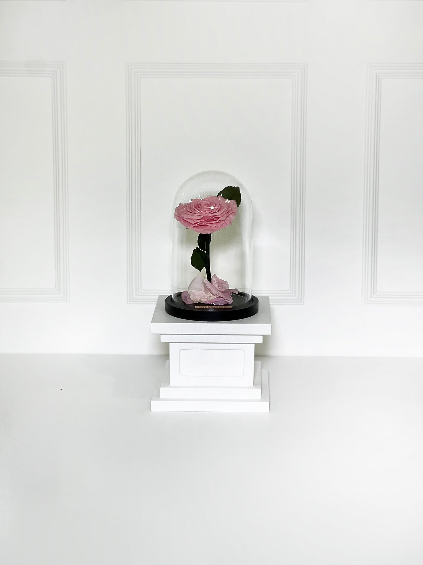 ROSA PRESERVADA PINK HEART
