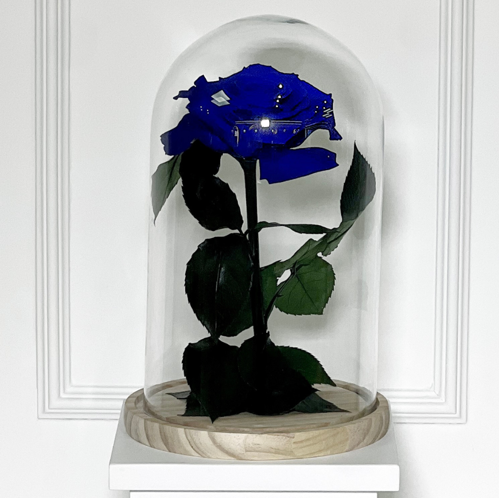 ROSA PRESERVADA AZUL TAMANHO M