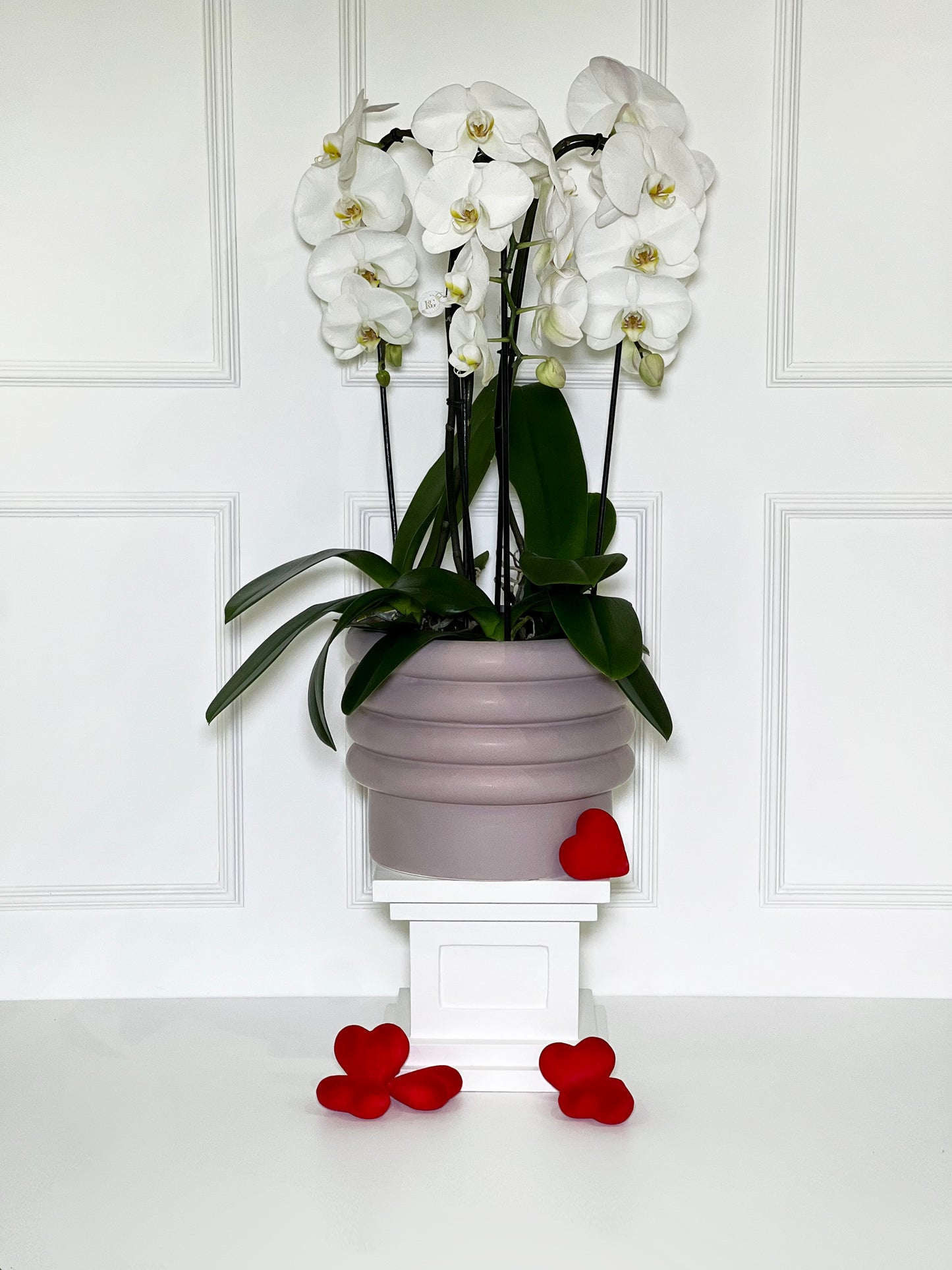 3 ORQUÍDEAS CASCATAS BRANCAS COM VASO ROSA