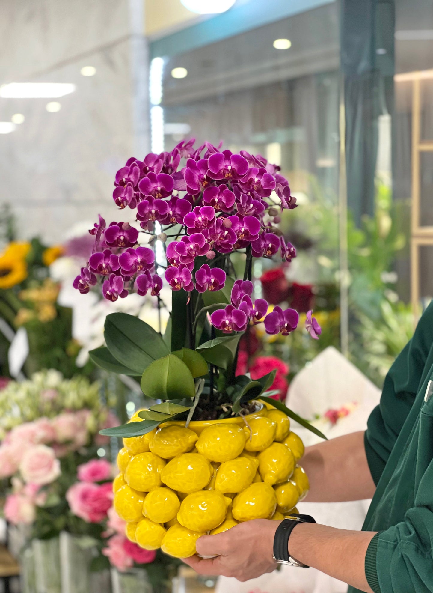 VASO FRUTTI LIMONI COM ORQUÍDEA 6 PÉS
