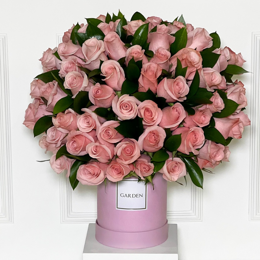 BOX CLASSIC WOMEN’S DAY