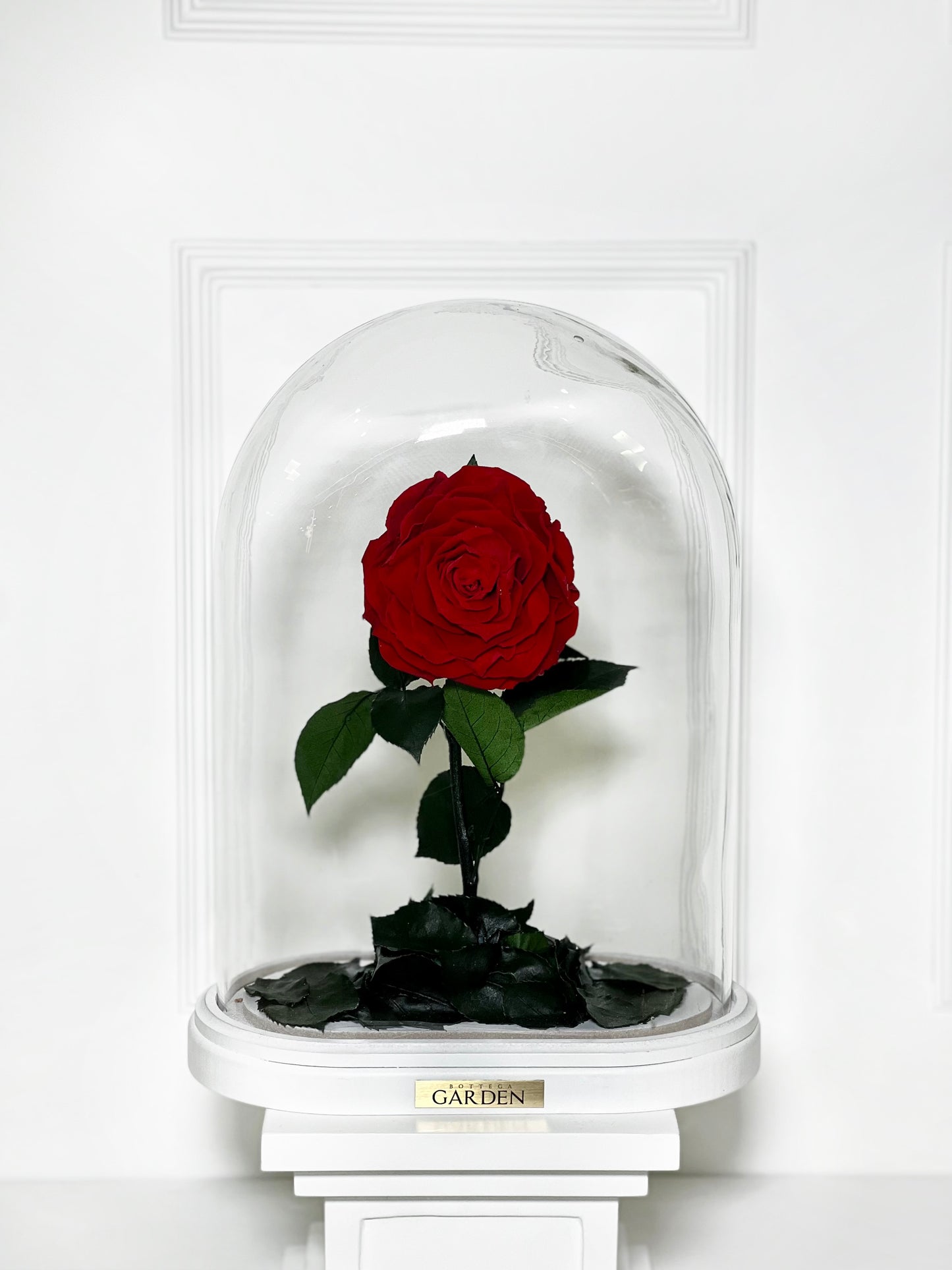 ROSA PRESERVADA RED L CÚPULA OVAL