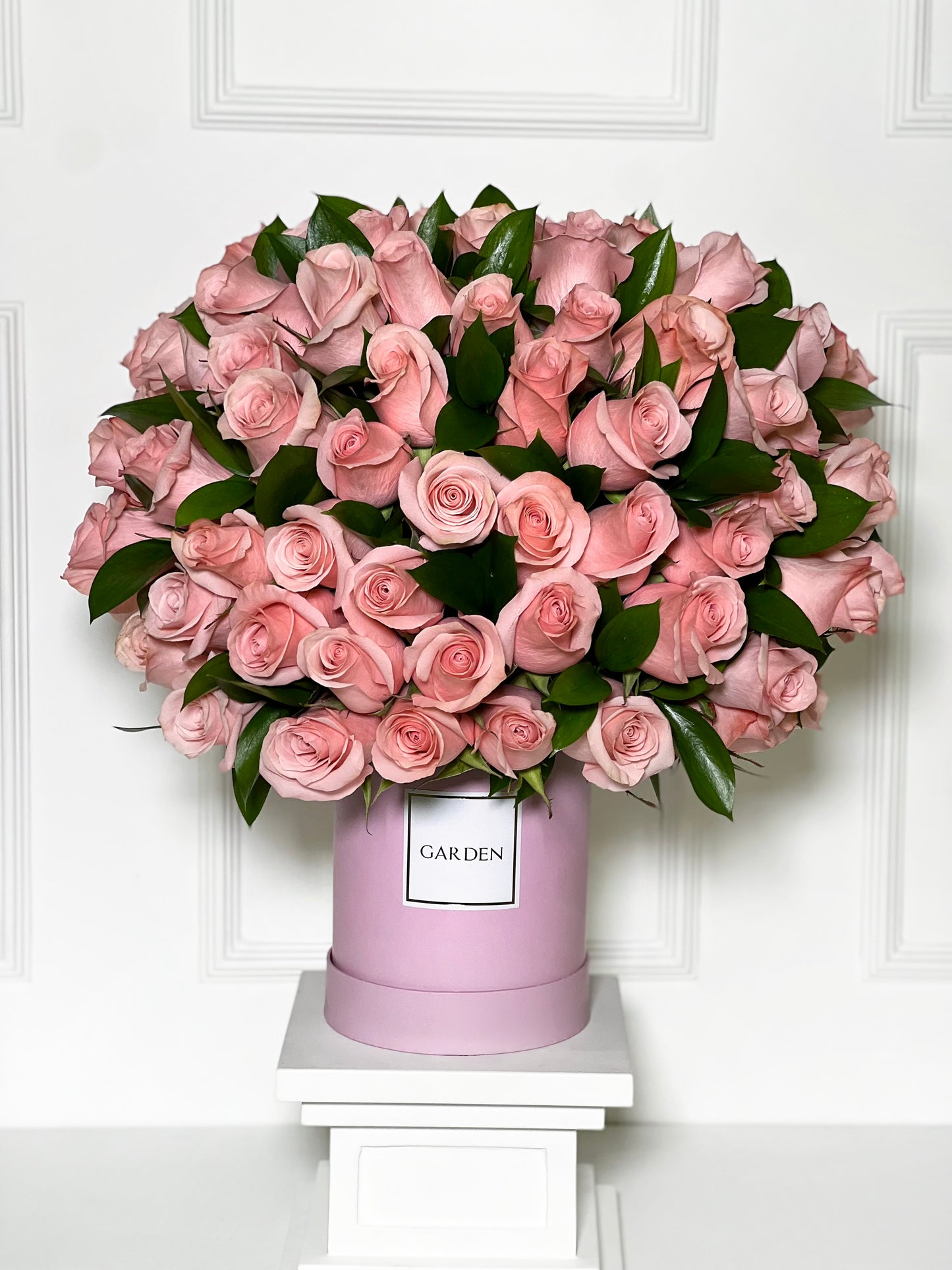 BOX CLASSIC WOMEN’S DAY