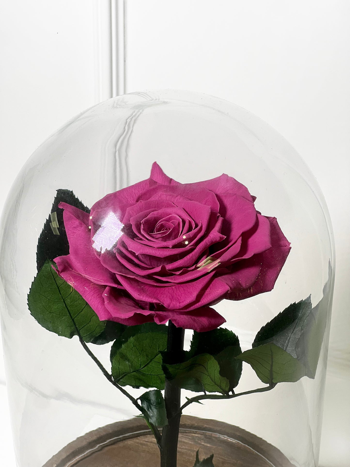 ROSA PRESERVADA DARK PINK M