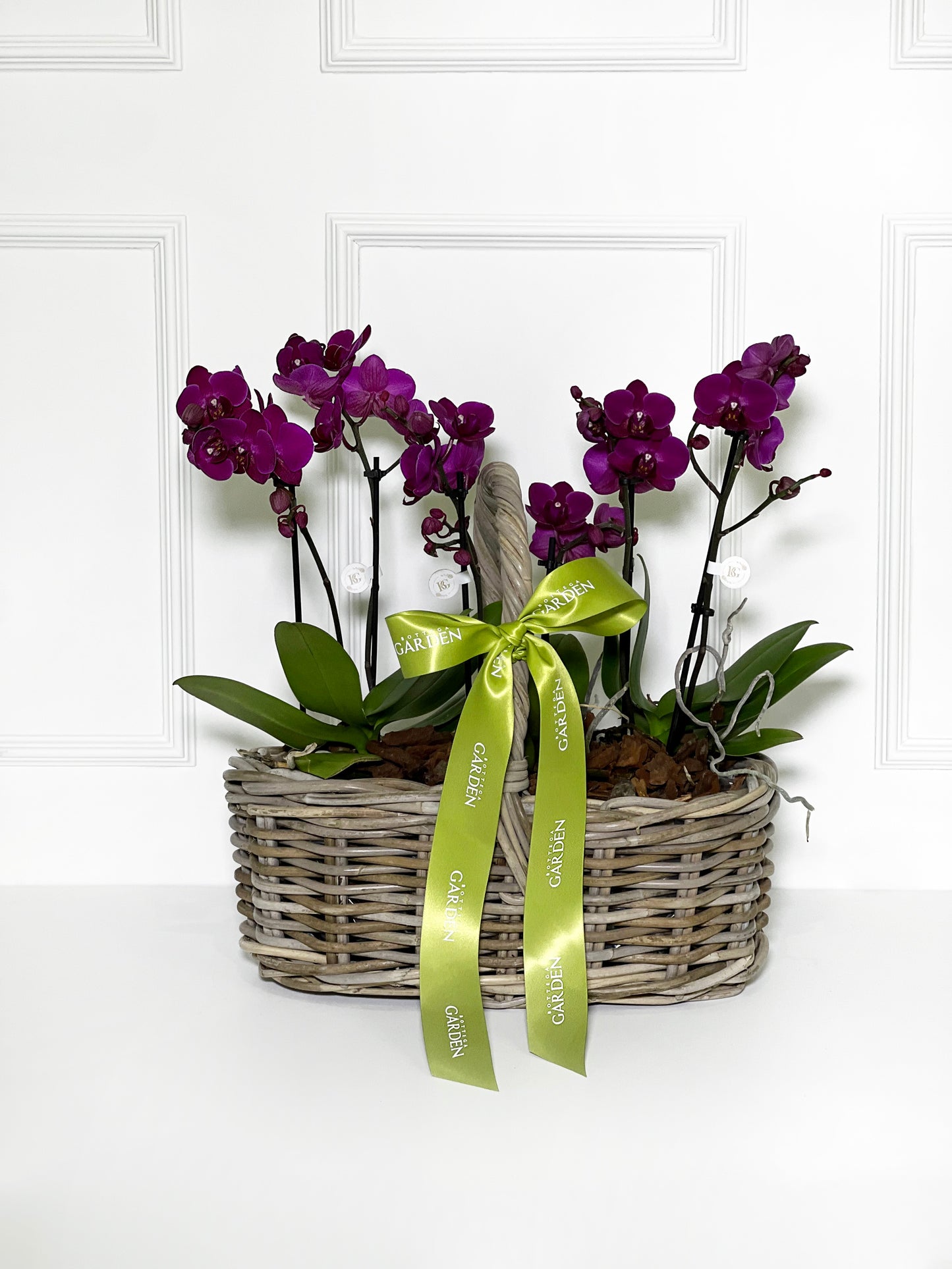 CESTA RATTAN COM MINI ORQUÍDEAS ROXO ESCURO