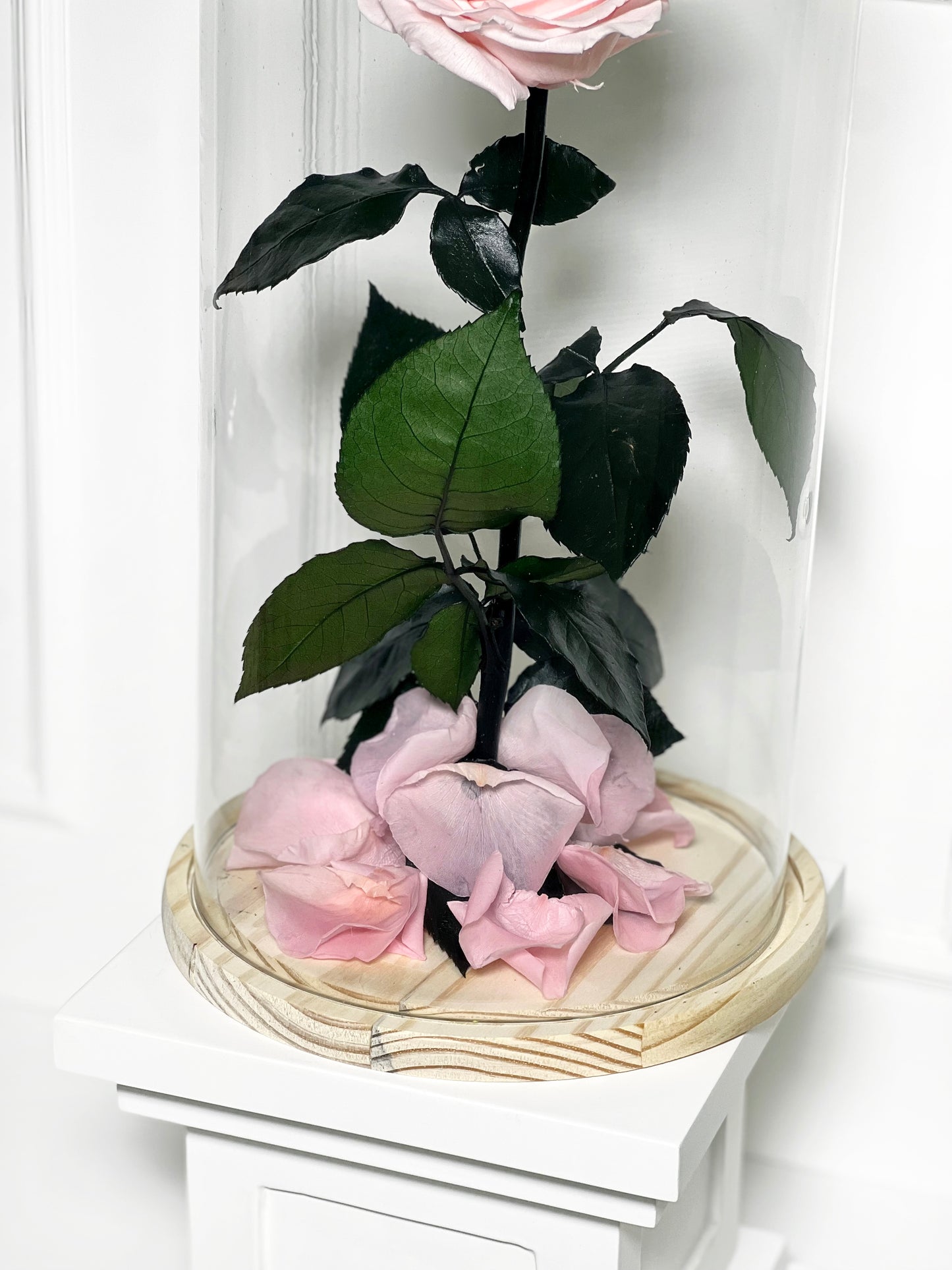 ROSA PRESERVADA PINK TAMANHO L
