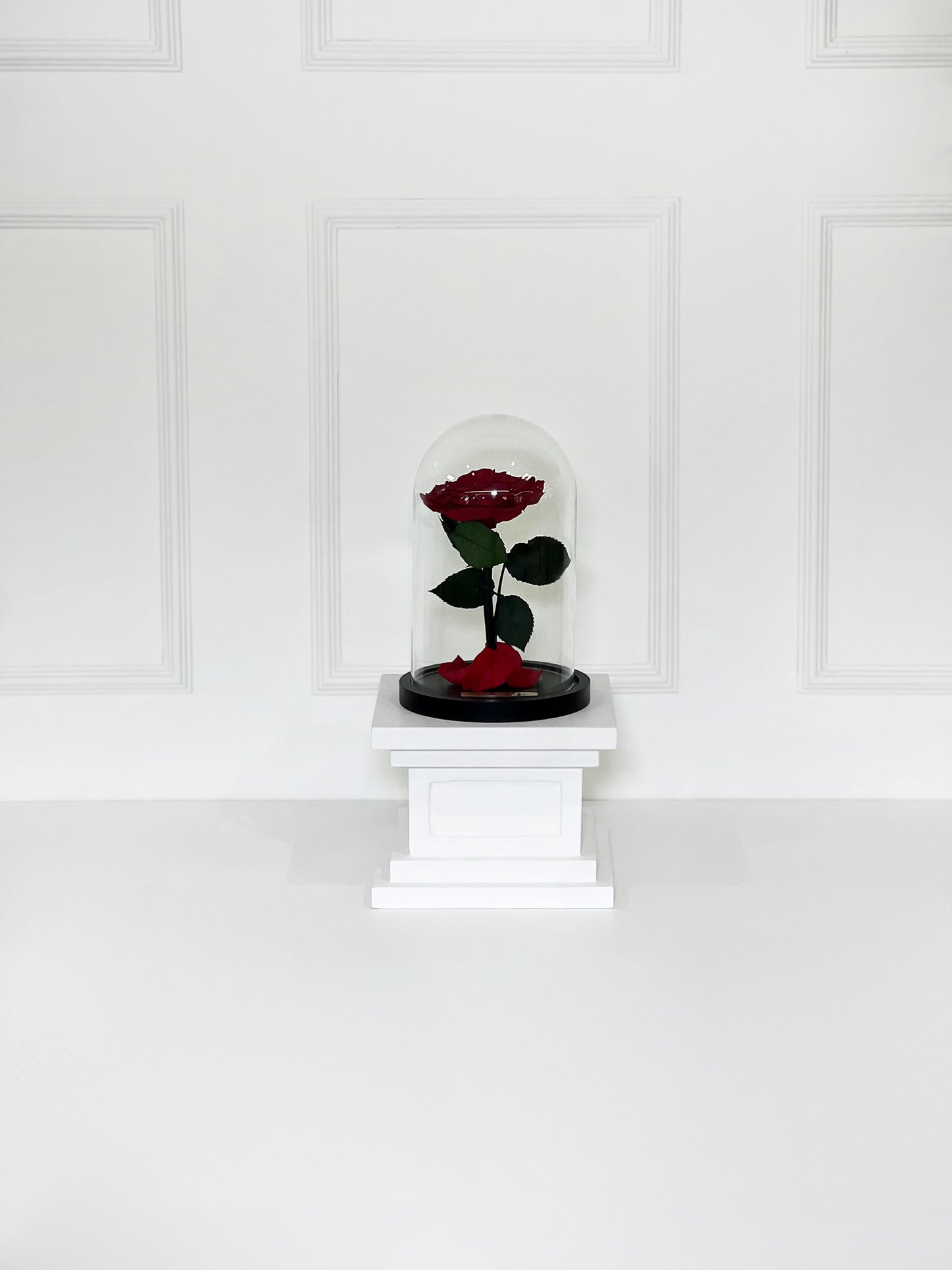 ROSA PRESERVADA RED HEART
