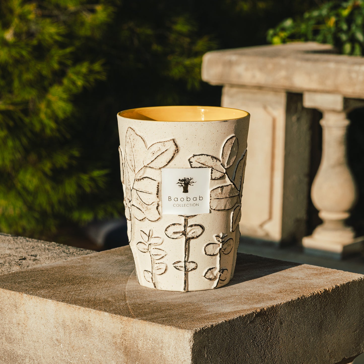 Baobab Colletion Calanque,Edição limitada