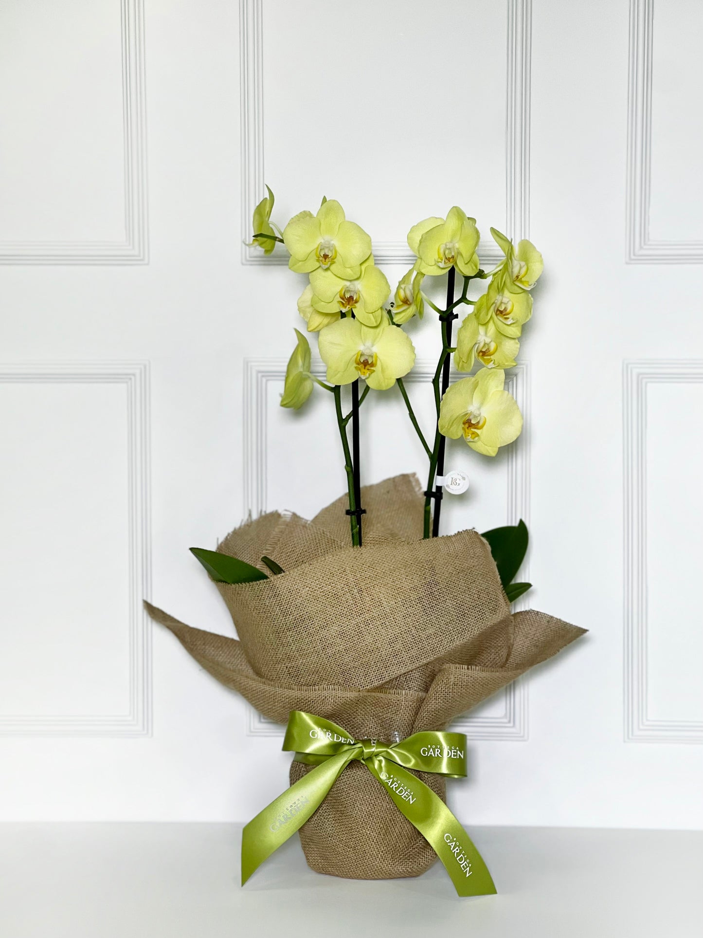 ORQUÍDEA AMARELA COM JUTA DE LINHO CRU