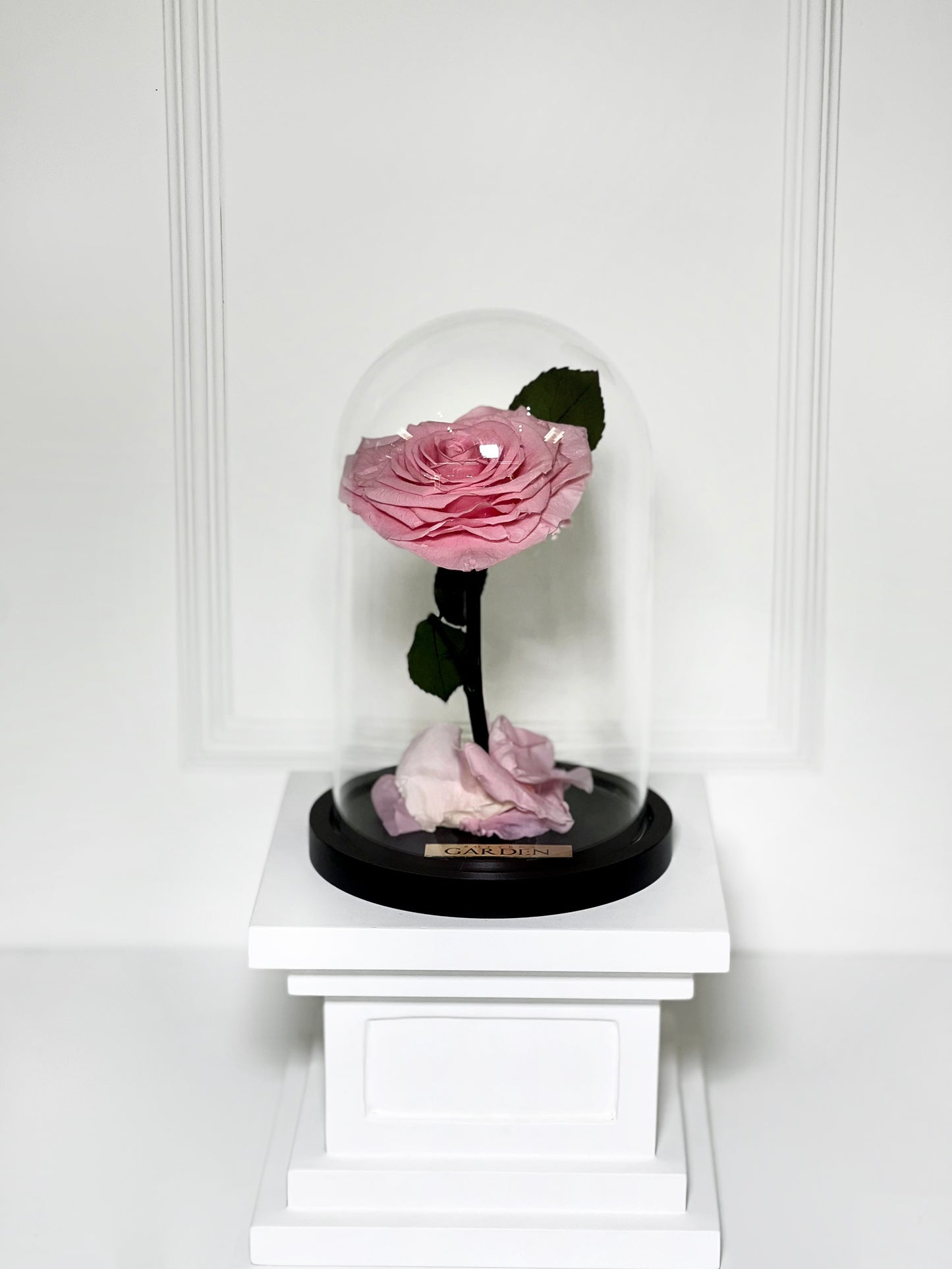 ROSA PRESERVADA PINK HEART