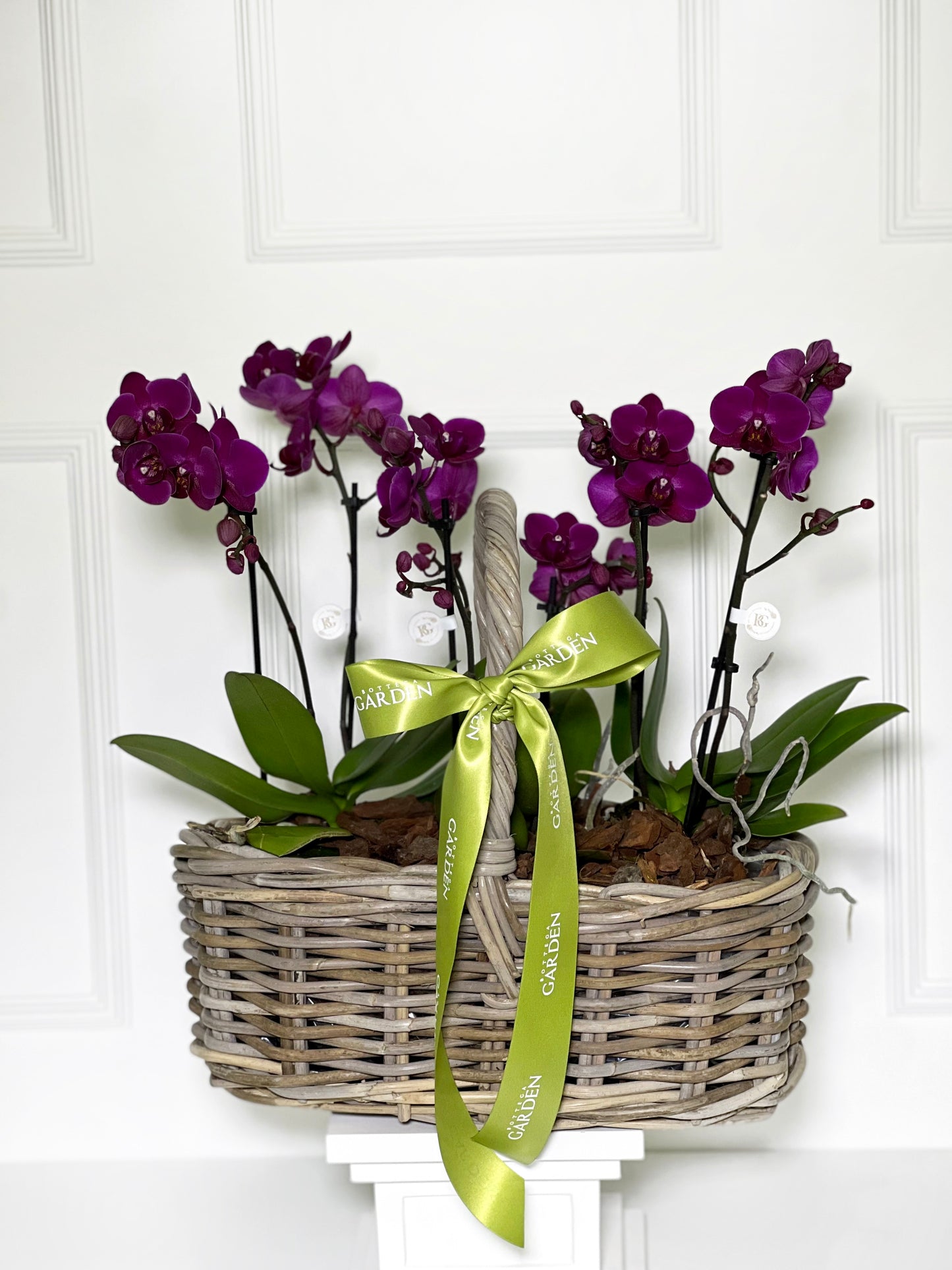 CESTA RATTAN COM MINI ORQUÍDEAS ROXO ESCURO