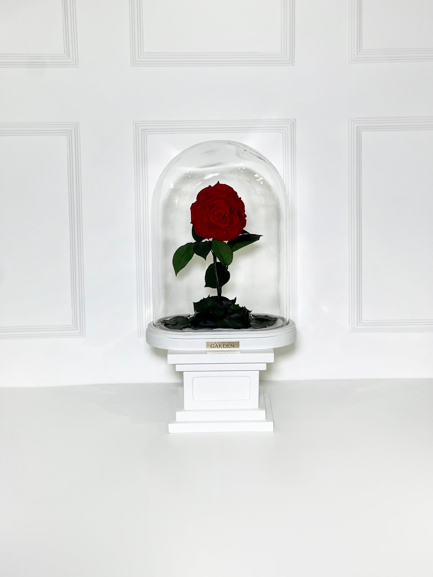 ROSA PRESERVADA RED L CÚPULA OVAL