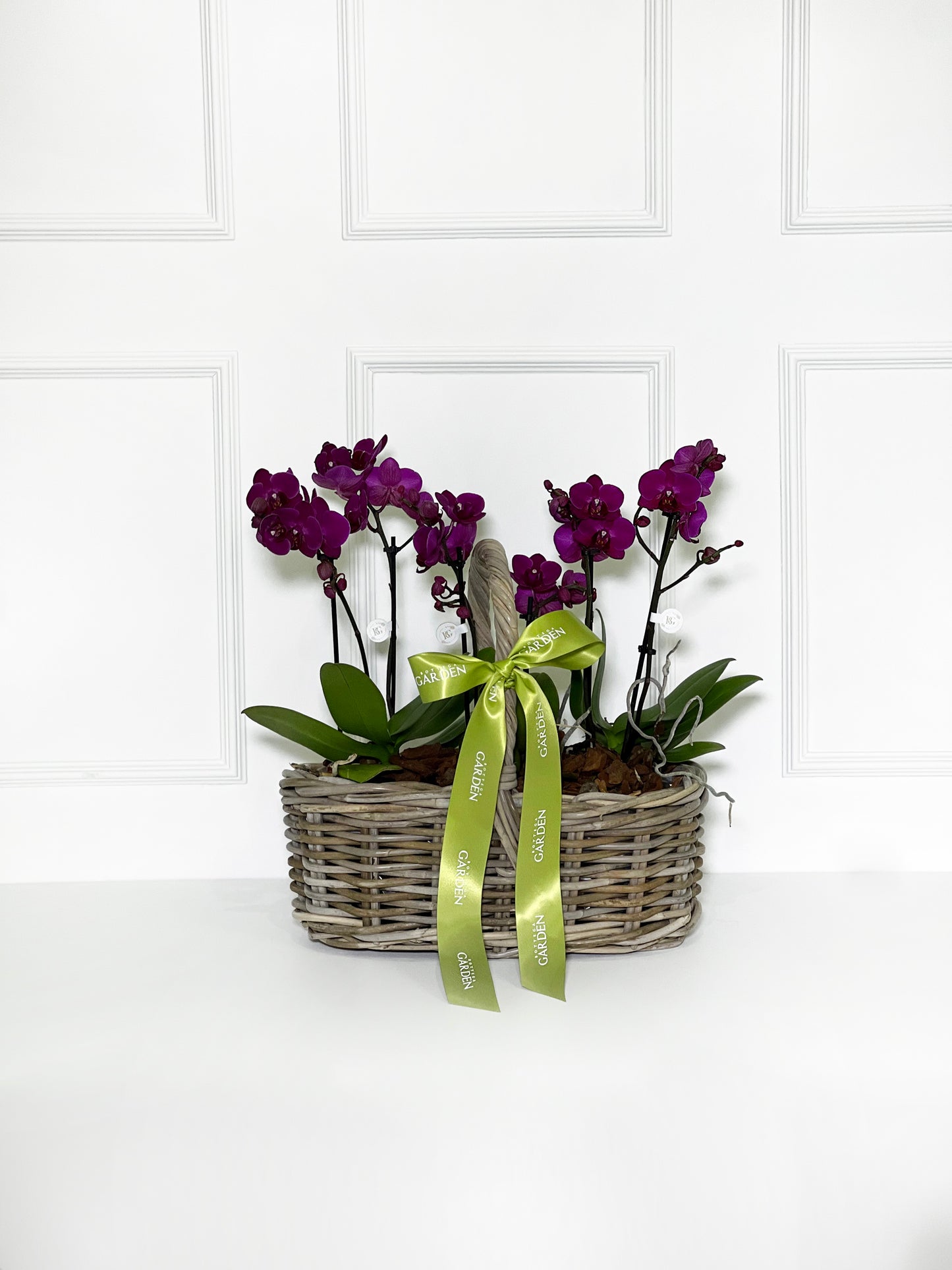 CESTA RATTAN COM MINI ORQUÍDEAS ROXO ESCURO