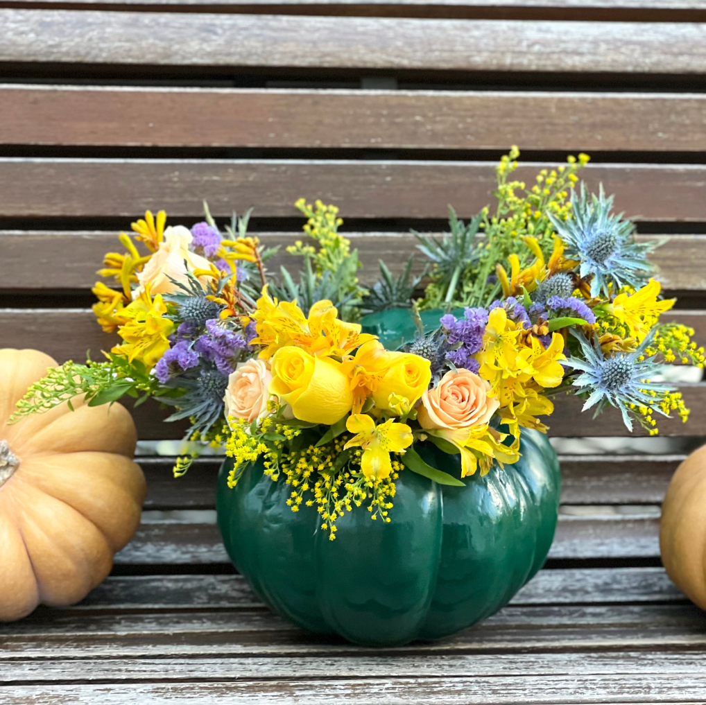 MAGIC PUMPKIN GREEN