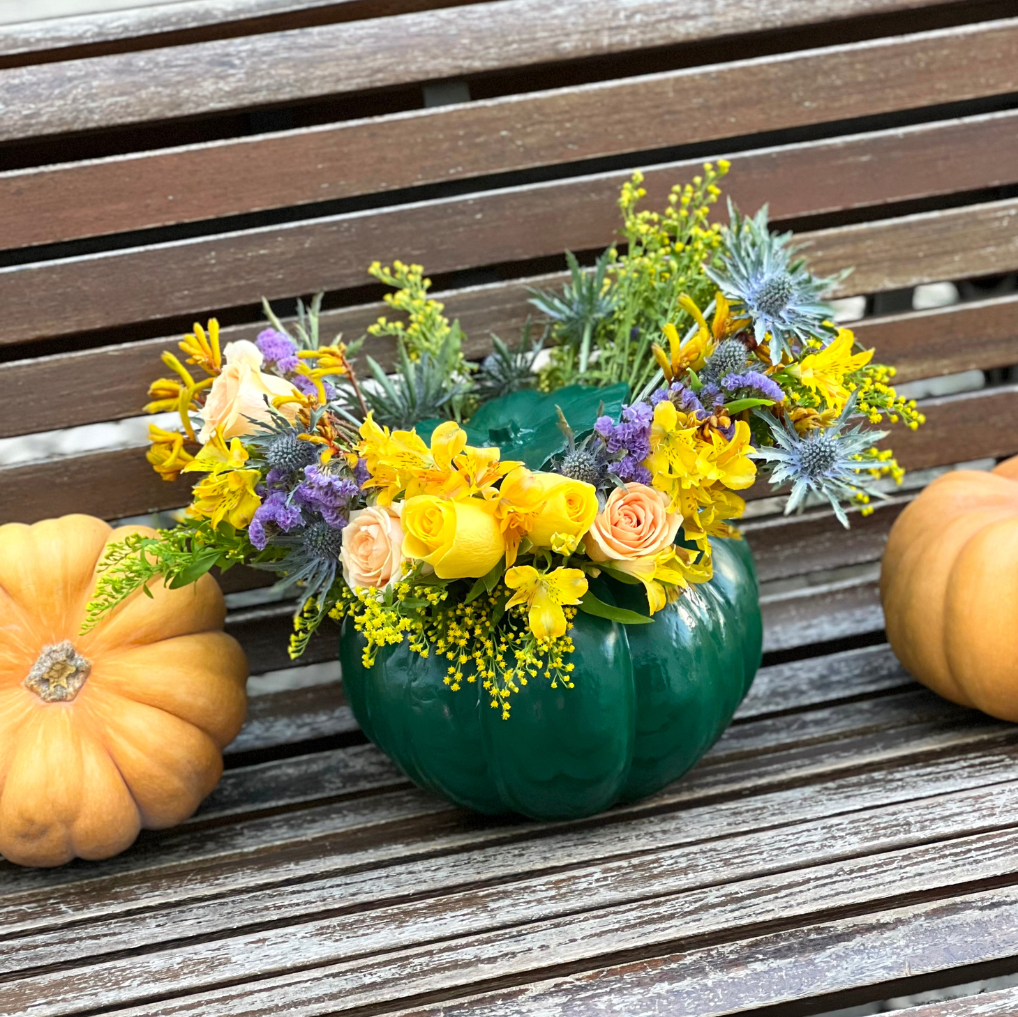 MAGIC PUMPKIN GREEN