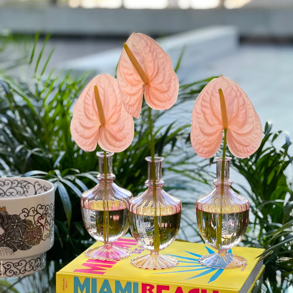 Vaso monofiore Pink com Antúrio