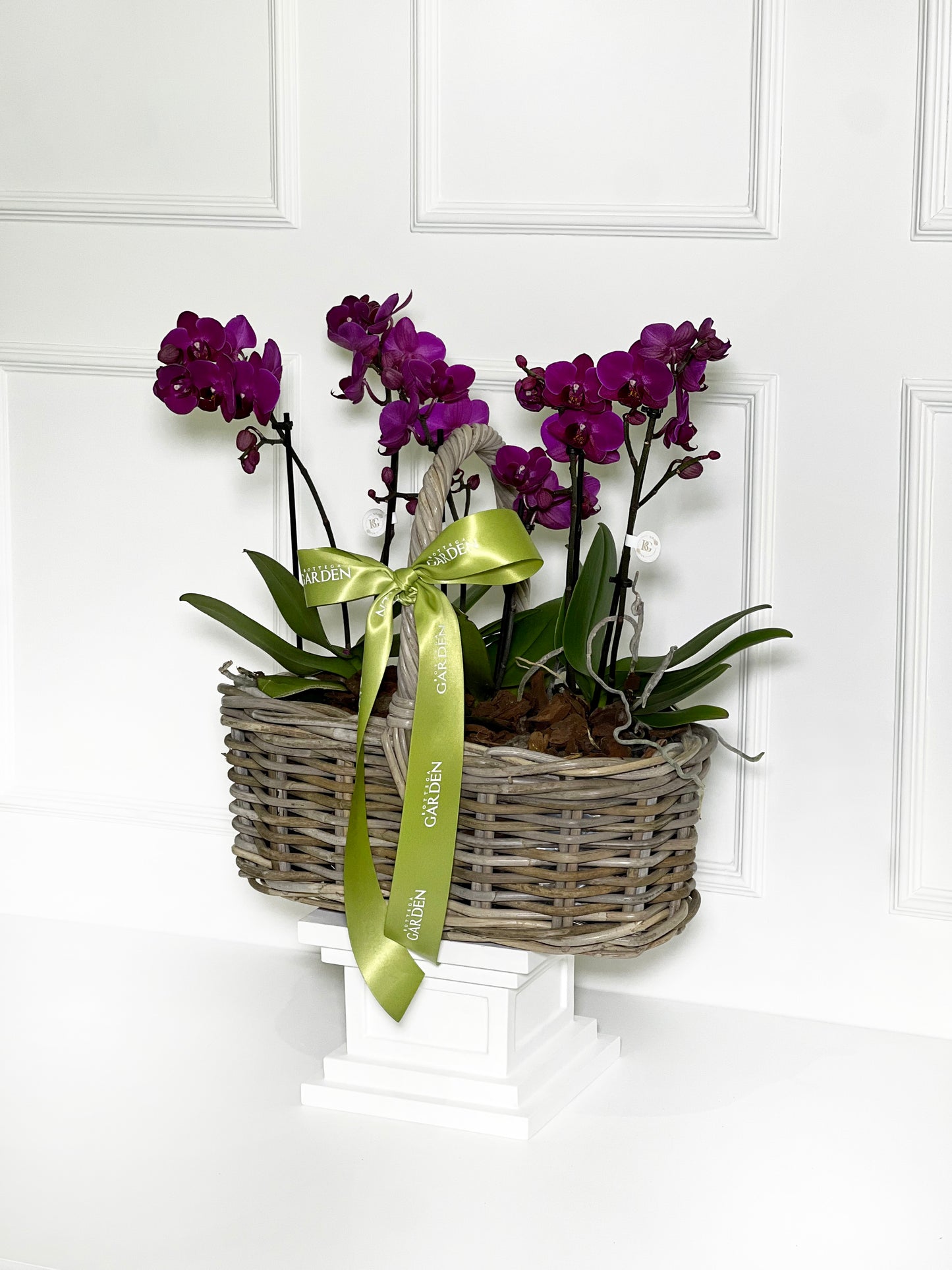 CESTA RATTAN COM MINI ORQUÍDEAS ROXO ESCURO