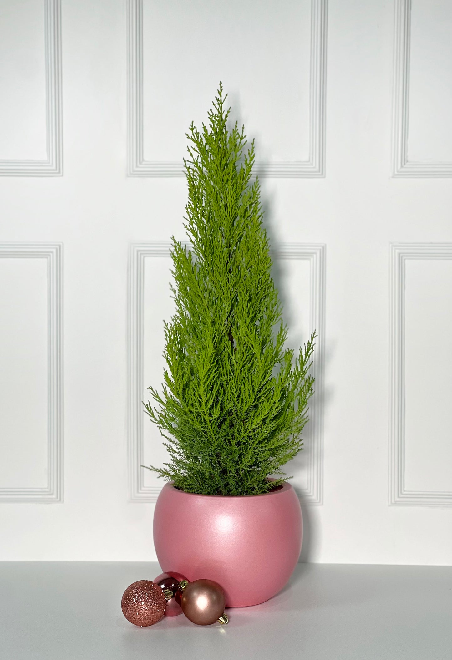 PINHEIRO COM VASO BALL EM PORCELANA PORTUGUESA PINK