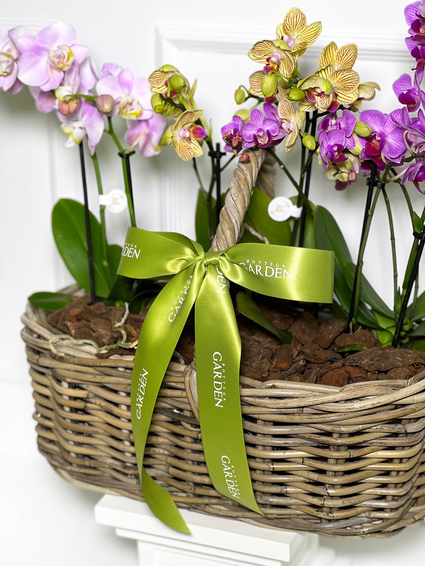 CESTA RATTAN COM MINI ORQUÍDEAS COLORIDAS