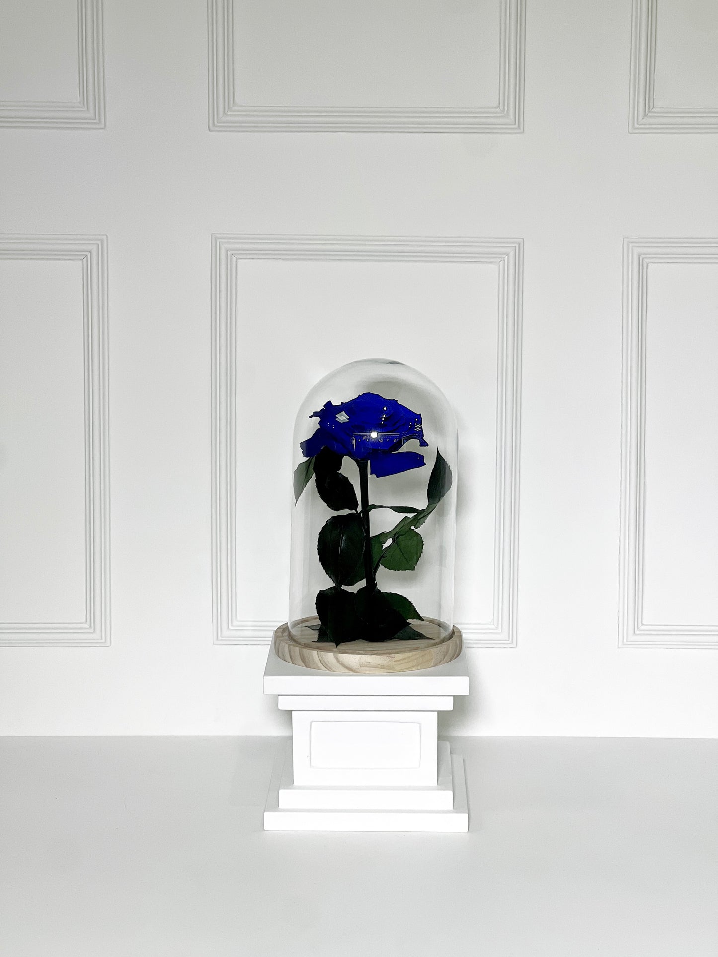ROSA PRESERVADA AZUL TAMANHO M