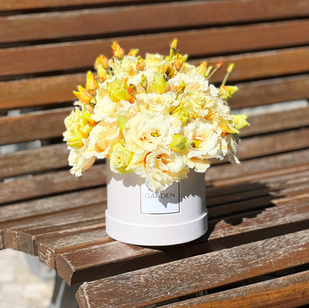 Orange Blossom
