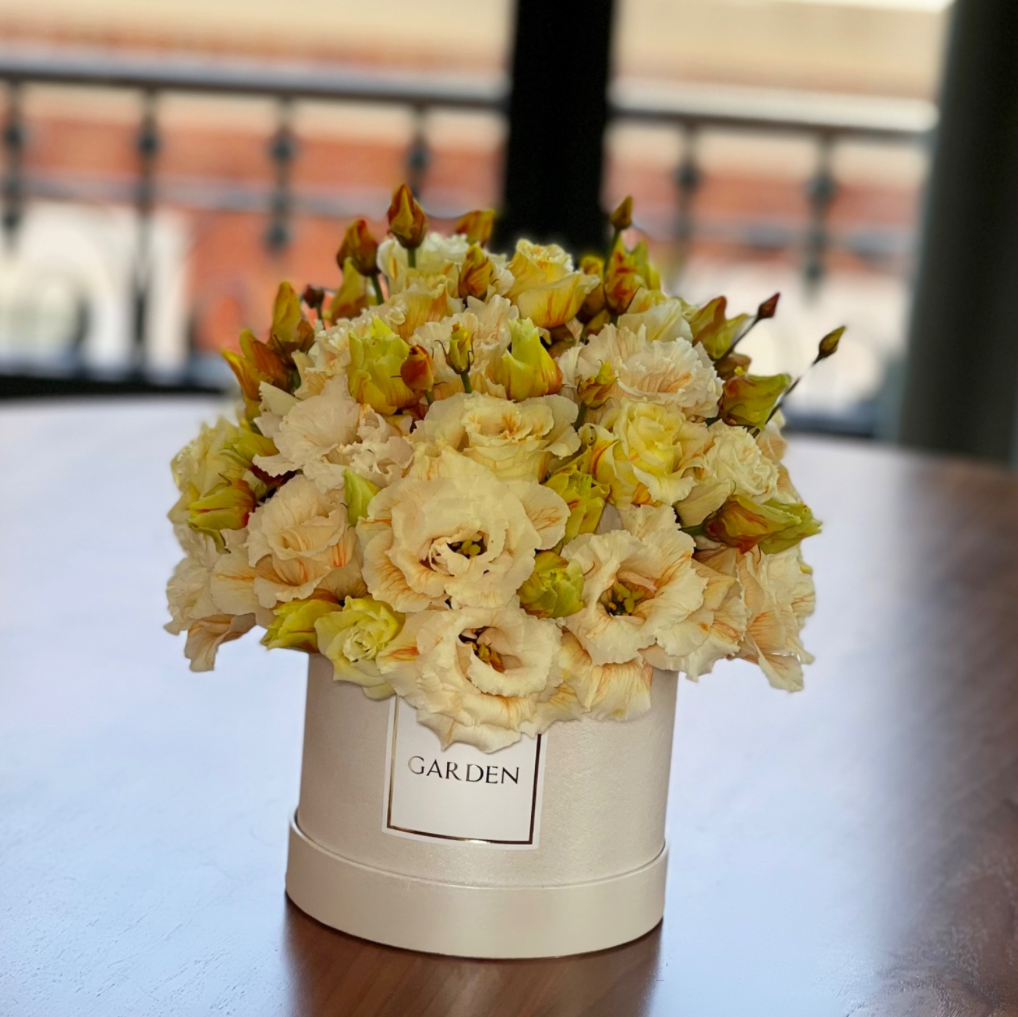 Orange Blossom