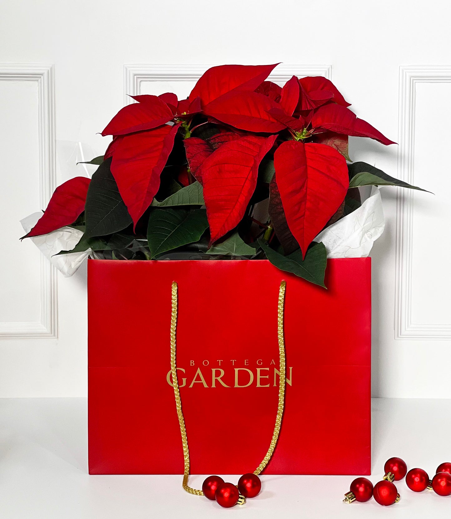 FLOR DE NATAL COM SACO BOTTEGA GARDEN NATALINO
