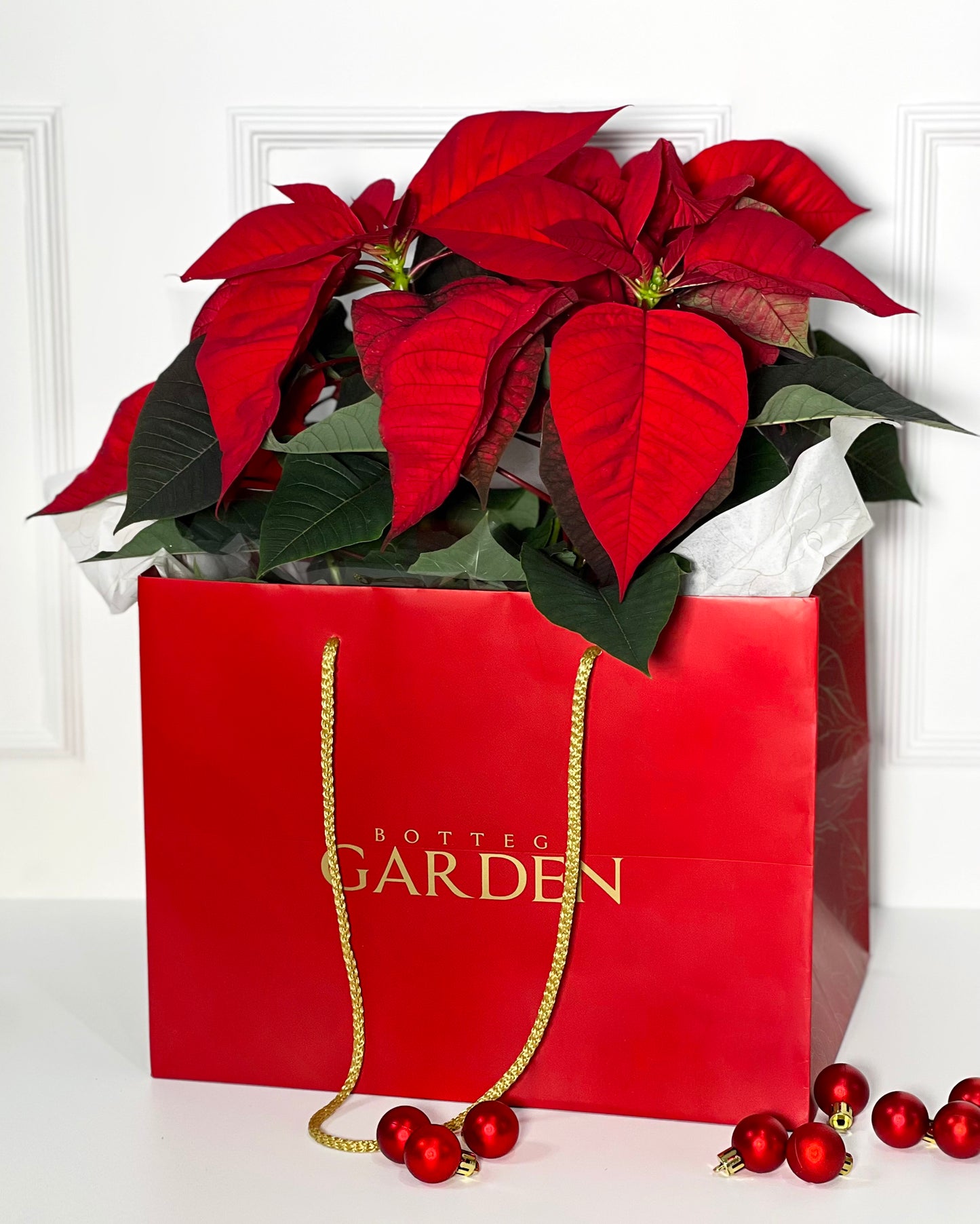 FLOR DE NATAL COM SACO BOTTEGA GARDEN NATALINO
