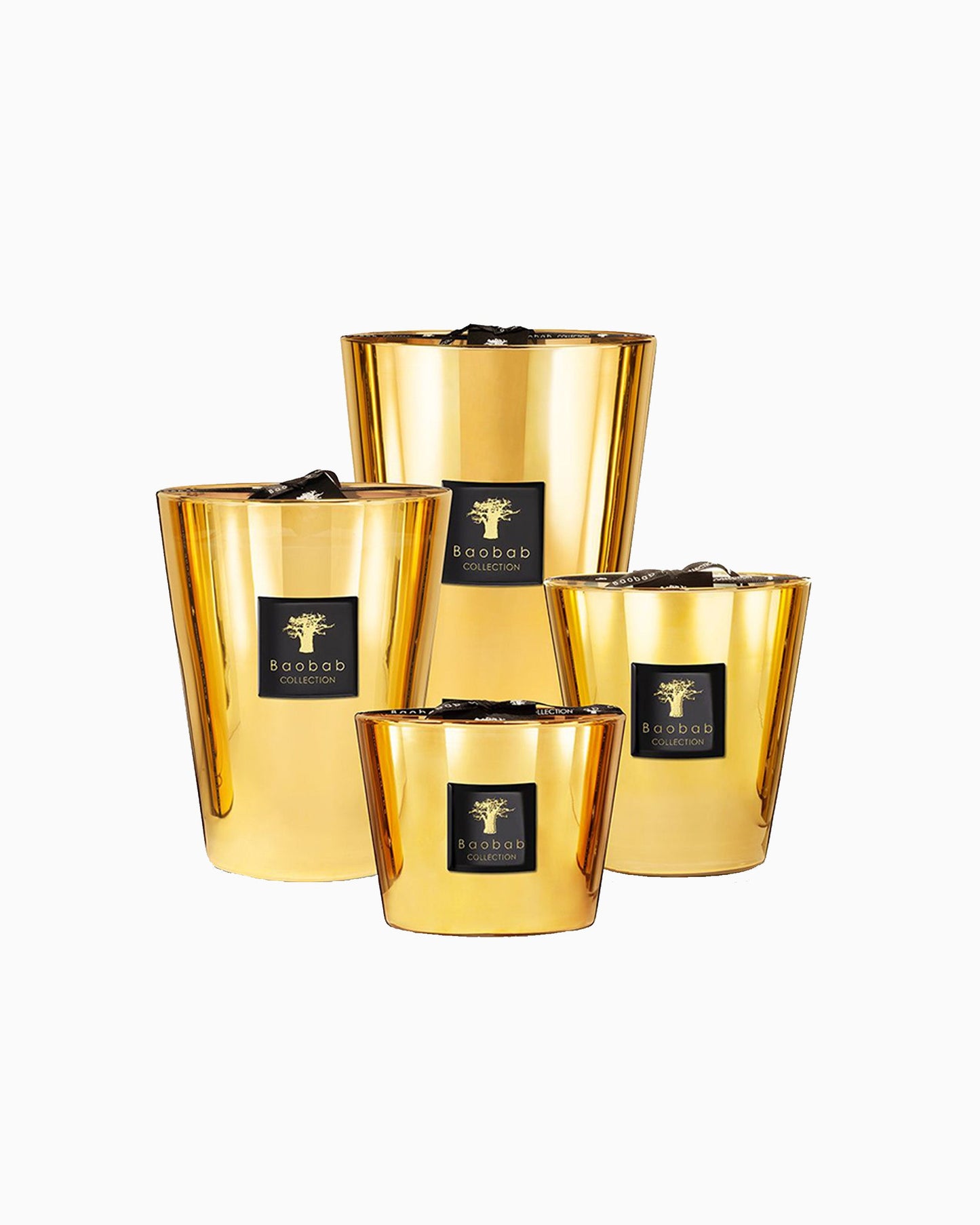 Baobab Colletion Aurum