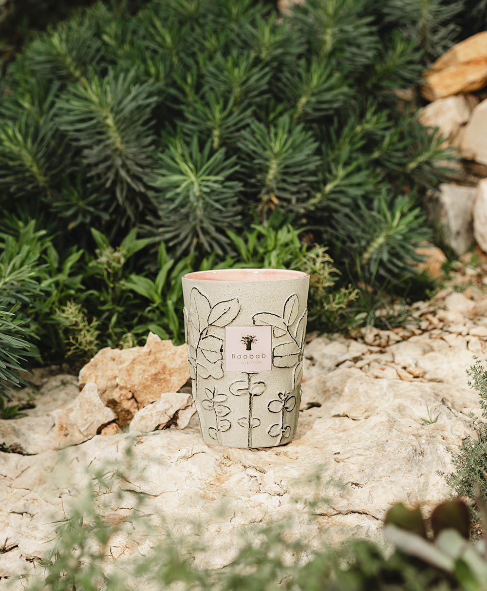 Baobab Collection Folia Maquis