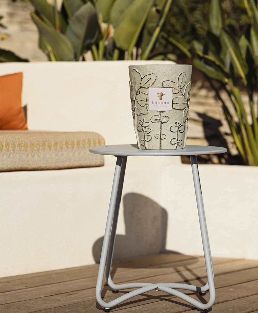 Baobab Collection Folia Maquis