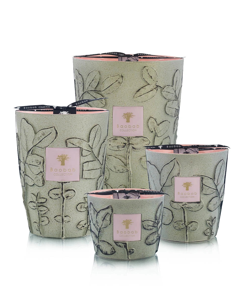Baobab Collection Folia Maquis