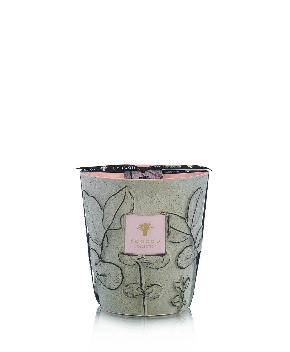 Baobab Collection Folia Maquis