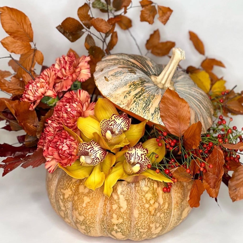 Pumpkin Autumn