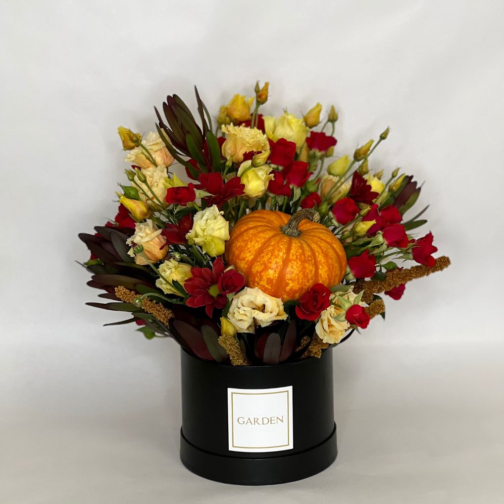 Boxes Trick or Treat