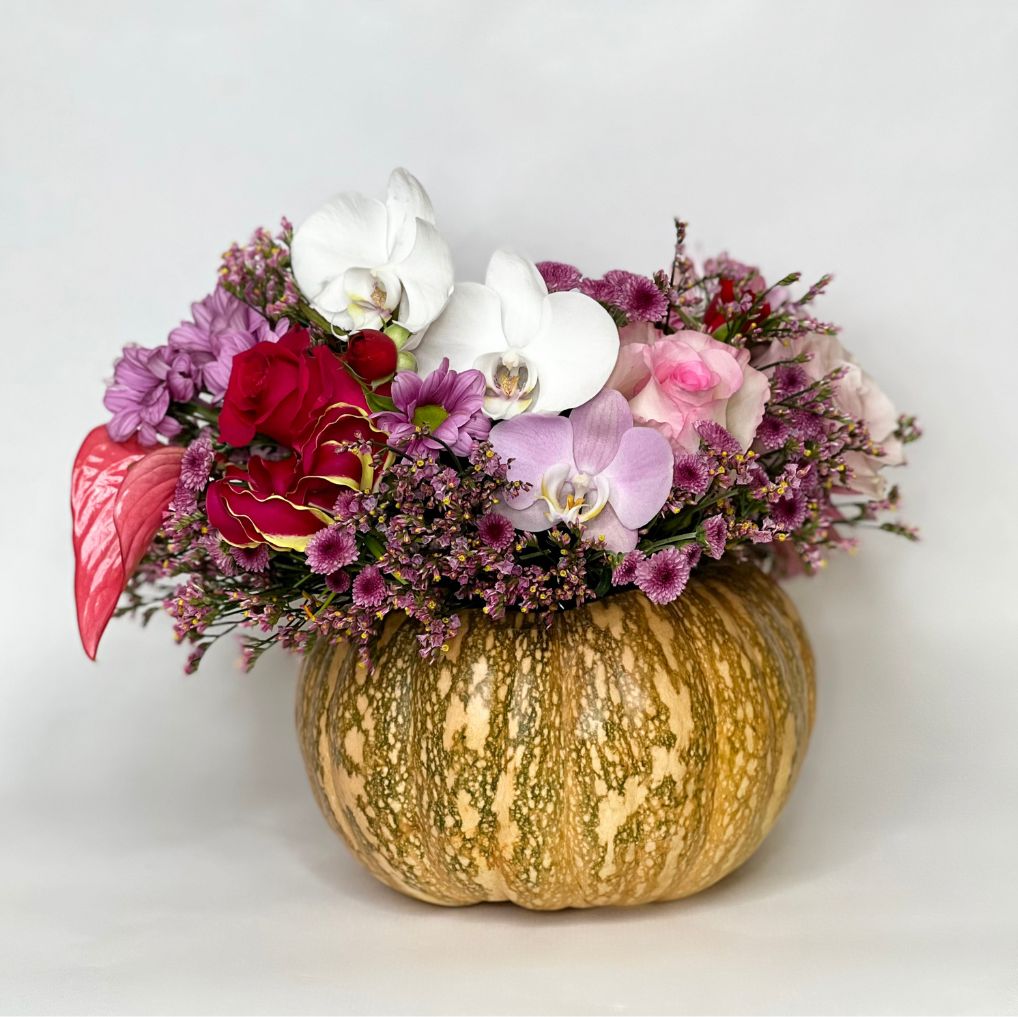 Magic Pumpkins com Orquídeas