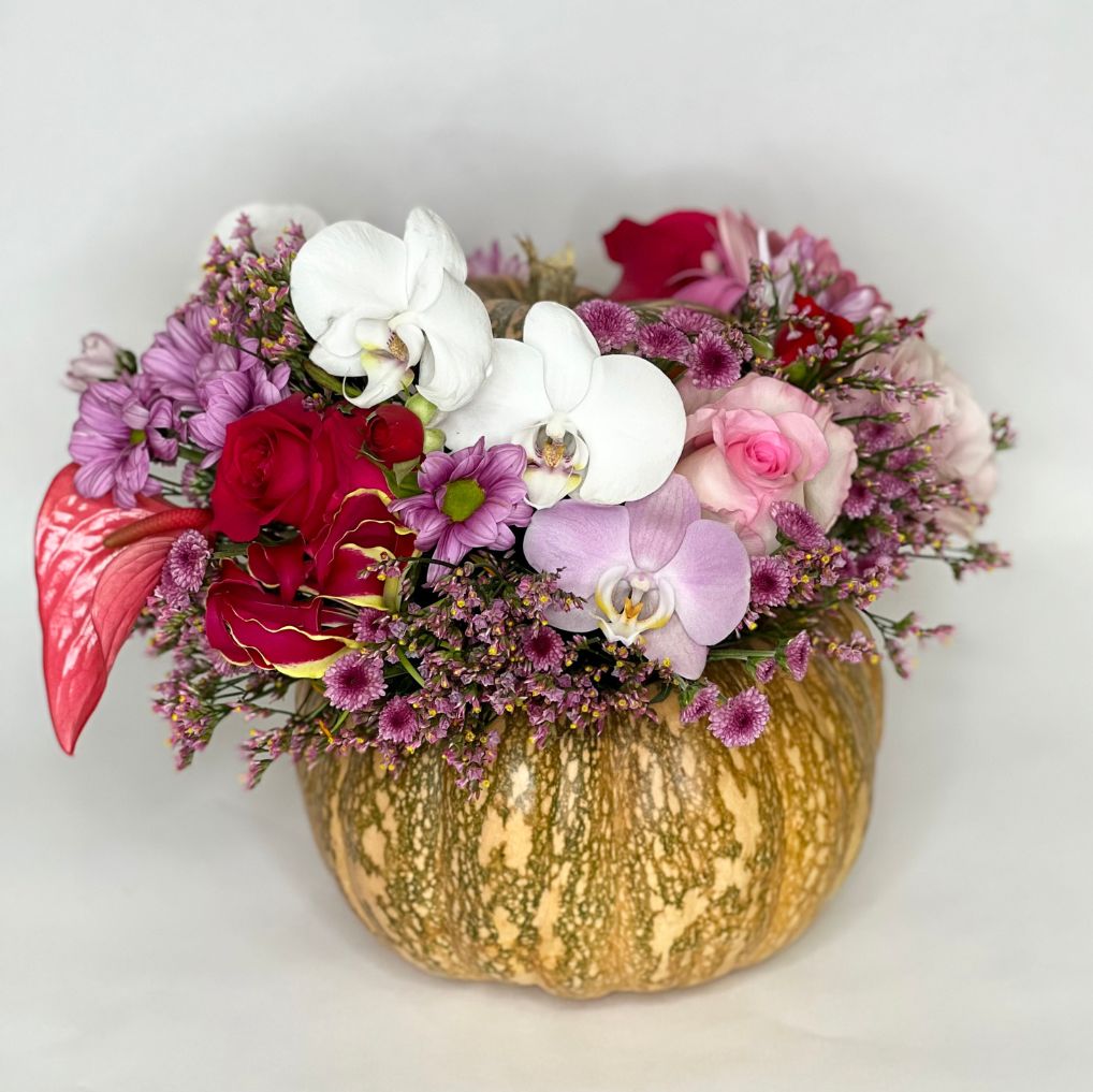Magic Pumpkins com Orquídeas
