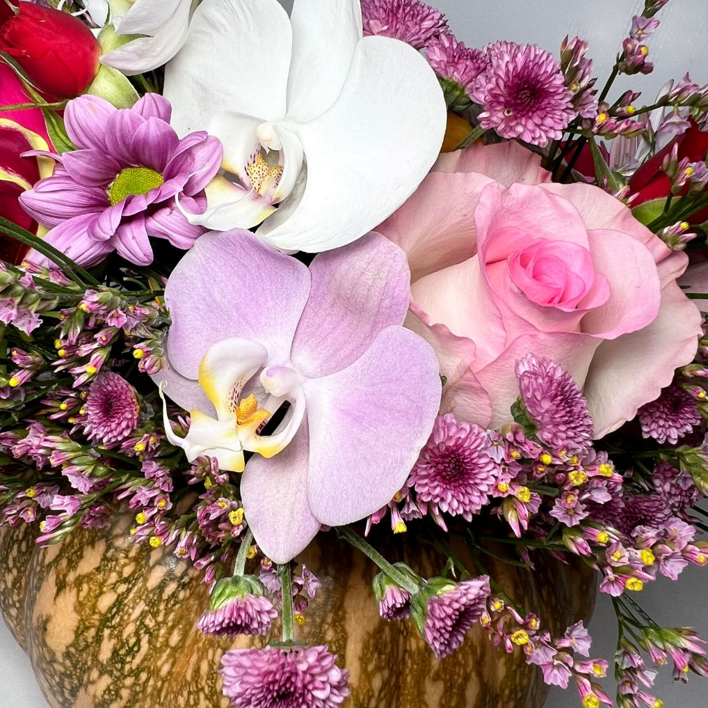 Magic Pumpkins com Orquídeas