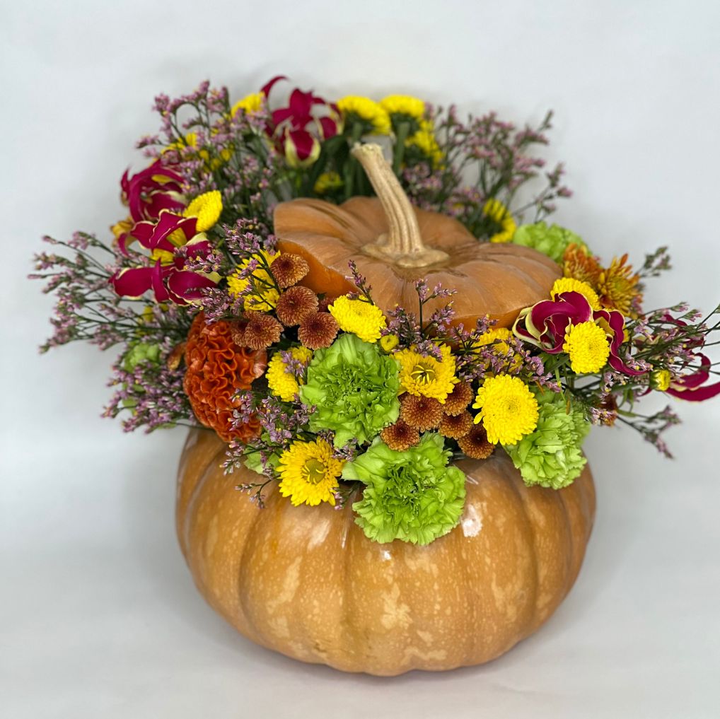 Magic Pumpkins