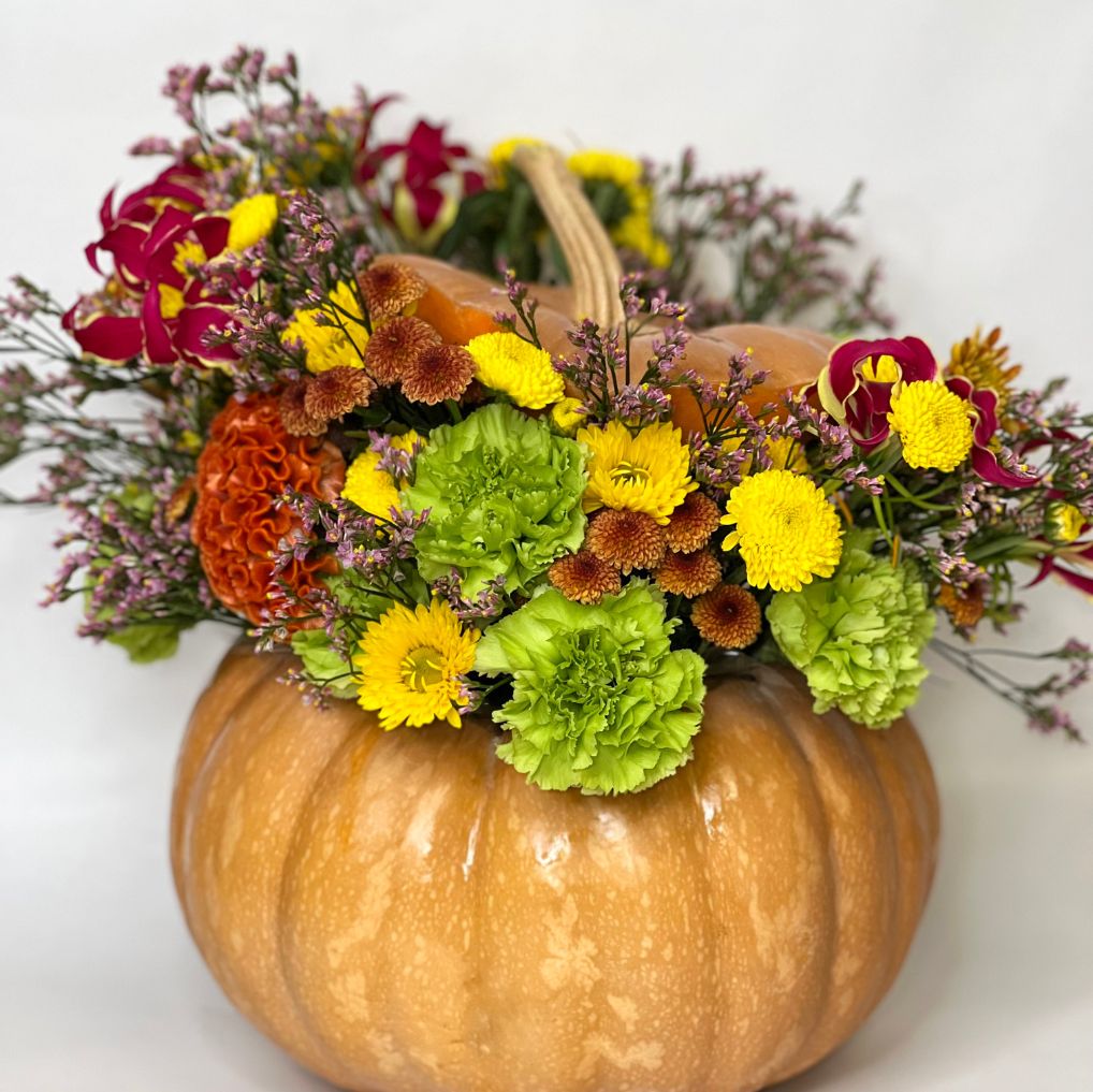 Magic Pumpkins