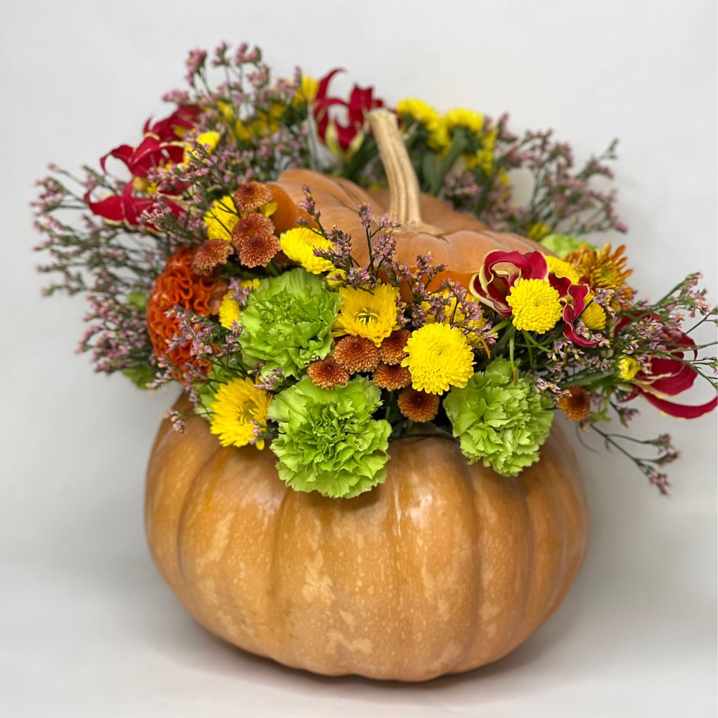 Magic Pumpkins